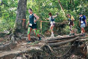 BIB: 
                            <button type="button" onclick="openModal(27556099)" class="btn btn-primary btn-sm float-right btn-popup" data-toggle="modal" data-target=".modal-high-quality">
                        <i class="fas fa-shopping-cart"></i> Add to Cart
                    </button>
                                            <button type="button" onclick="isThisMe(27556099, true)" class="btn btn-success btn-sm float-right btn-popup btn-isme hidden" data-toggle="tooltip" data-placement="bottom" title="นี่คือรูปของคุณใช่ไหม คลิกที่นี่เพื่อเอาเข้าอัลบั้ม">
                        <i class="fas fa-plus"></i> Add to album
                    </button>
                    <button type="button" onclick="isThisMe(27556099, false)" class="btn btn-warning btn-sm float-right btn-popup btn-isnotme hidden">
                        <i class="fas fa-ban"></i> Remove from album
                    </button>